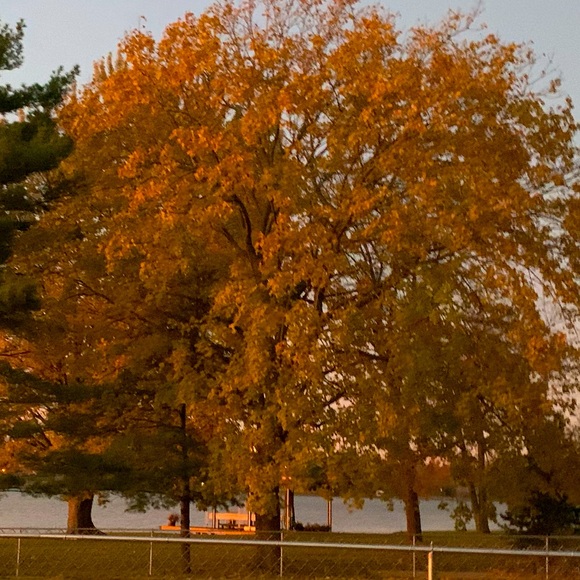 Meet your Posher, Joanna - Picture 1 of 1